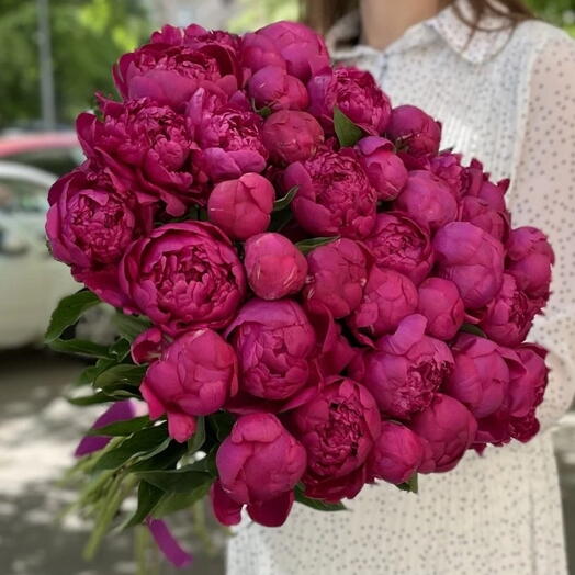 Букет из пионов 51 шт