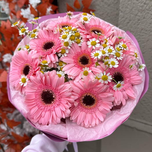 Bukiet gerber z rumiankiem