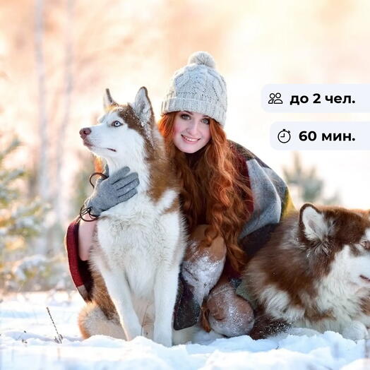 Под прицелом фотографа. Фотосессия с Хаски на природе
