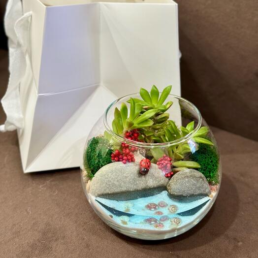 Флорариум мини шарик подарок для друзей