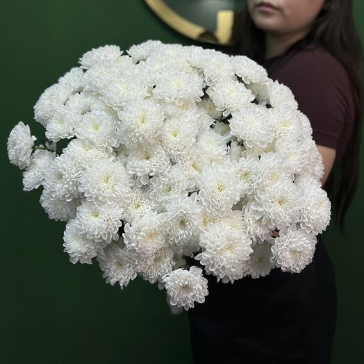 Букет из 15 кустовых хризантем