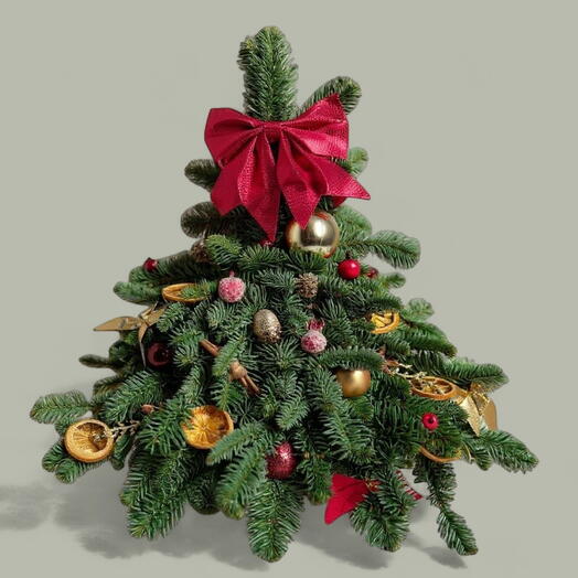 🎄Елочка новогодняя из живого Датского нобилиса 50 см ручной работы