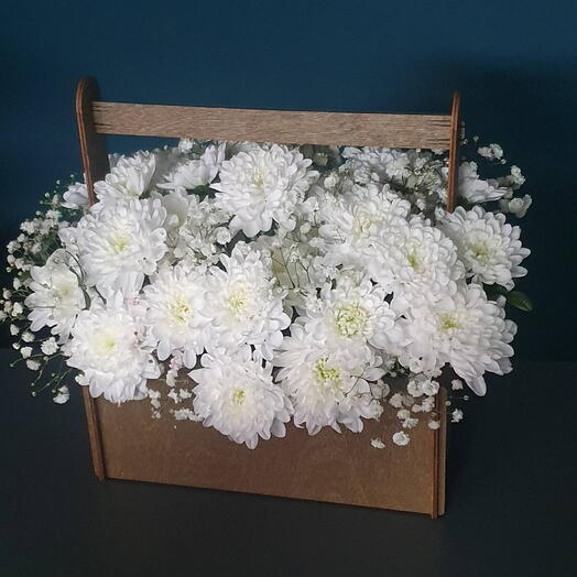 Хризантема в ящике