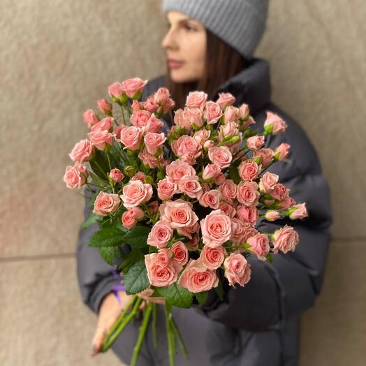 Сорт кустова
