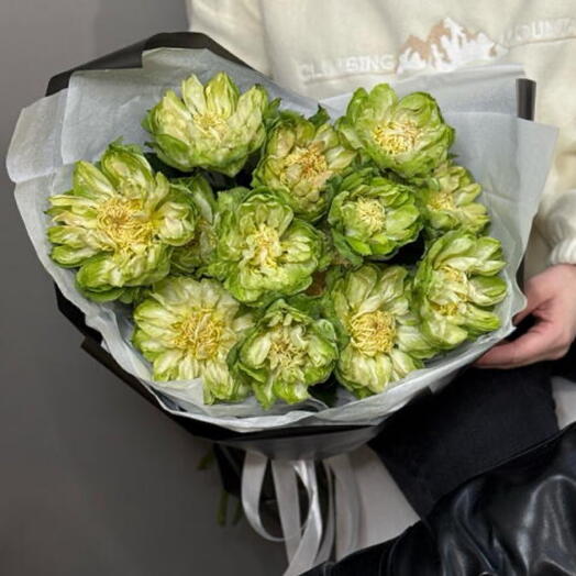 Премиальные розы сорта «Veggie