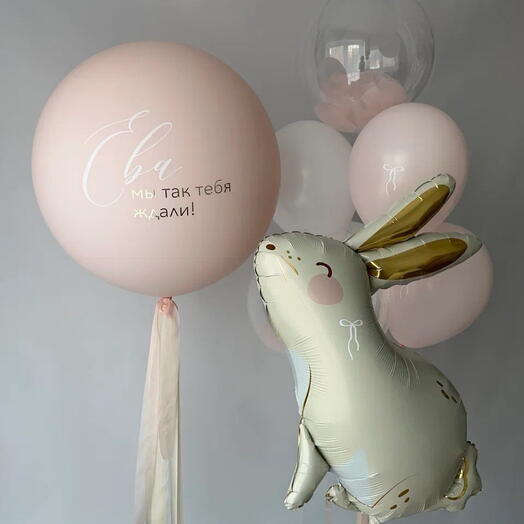 Шары на выписку малышки