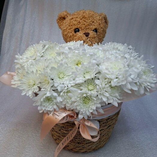 Нежность Тедди