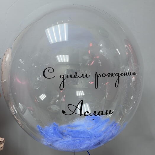 Шар Баблс с надписью и перьями