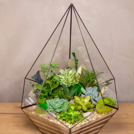 Флорариум XL. Капля 32