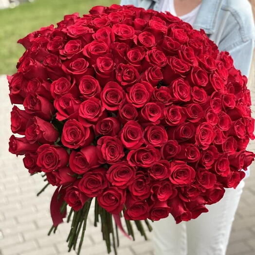 151 красная роза