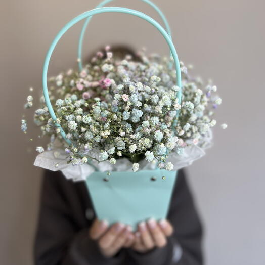 Цветная гипсофила в сумочке