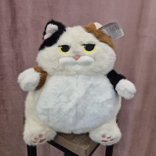 Кот пятнистый