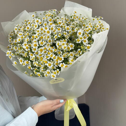Букет ромашек