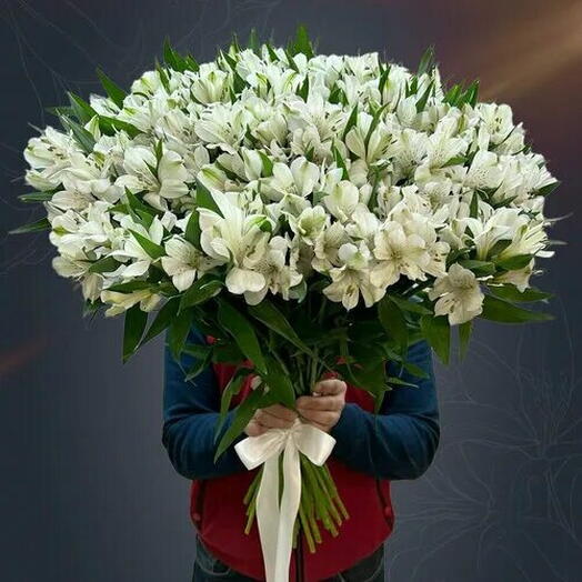Букет из 25 белых альстромерий 🌿