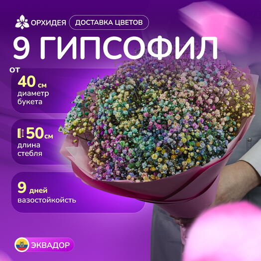 9 гипсофил микс