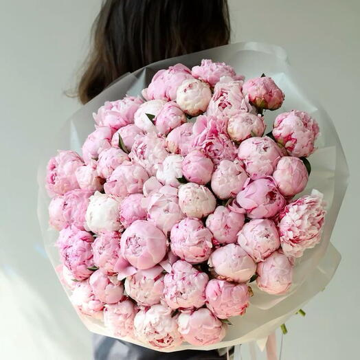 Акция❣️ 51 нежный пион🤍