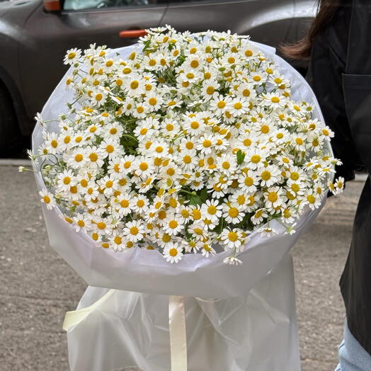 Daisies mono bouquet M size