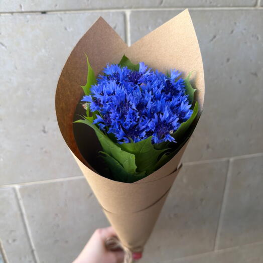 Васиьки💙