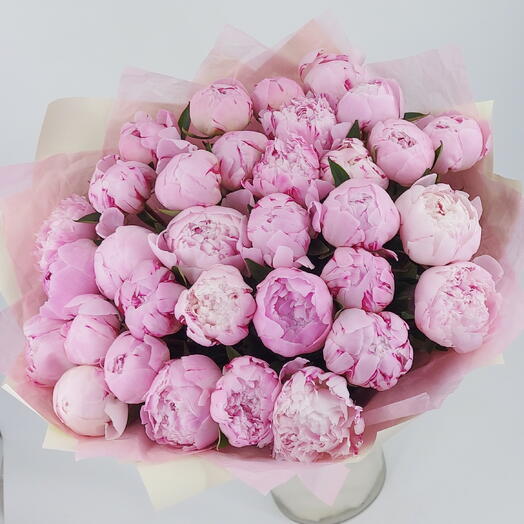 Розовые пионы х33