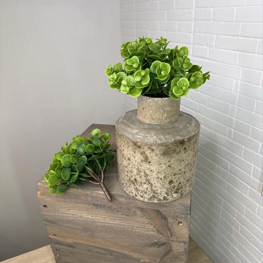 Искусственные растения 🌱