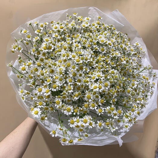 Ромашка 25 штук 🌼