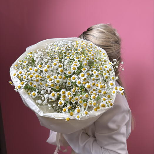 Букет «Микс» матрикария, гипсофила