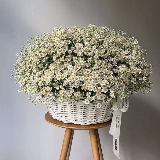 Корзина с ромашками
