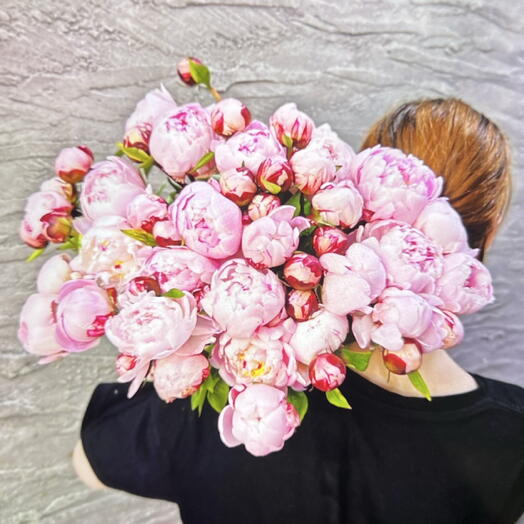 Пион 51 шт