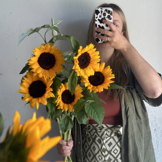 Подсолнухи 🌻 5 и ветви малины