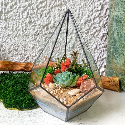 Florarium"Gota"
