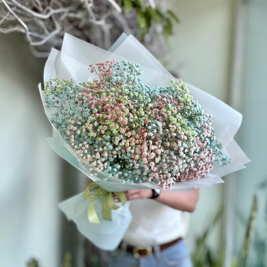 Разноцветная гипсофила