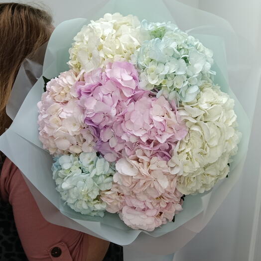 Букет гортензий 04567788