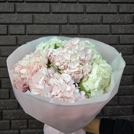 Букет нежно розовых гортензий 💗
7ш