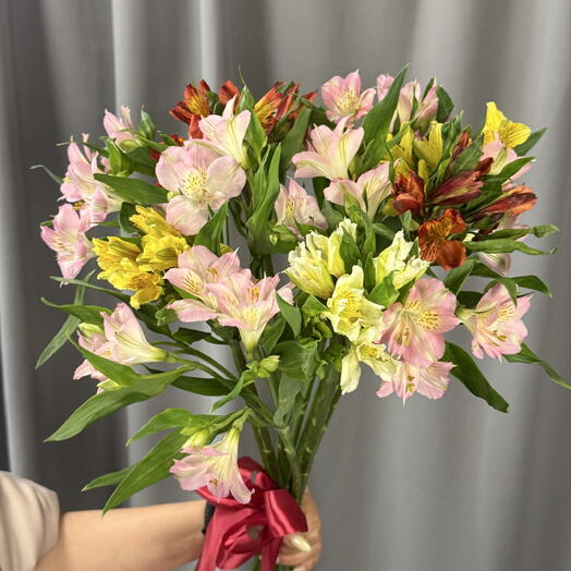 11 альстромерий под ленту🌸