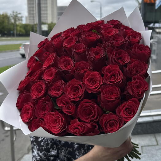 Крупная бордовая Роза 51