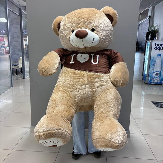 Мишка в кофте