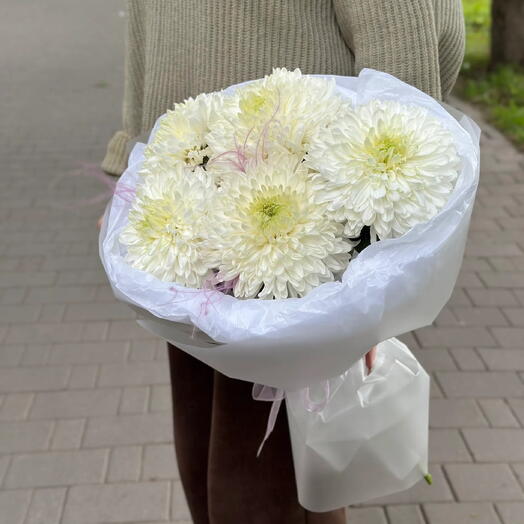 Букет из белых хризантем. Большая белая одноголовая хризантема Магнум