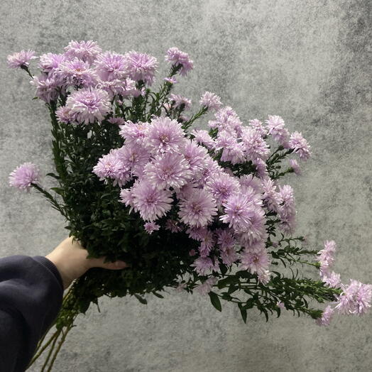 Сентябрины