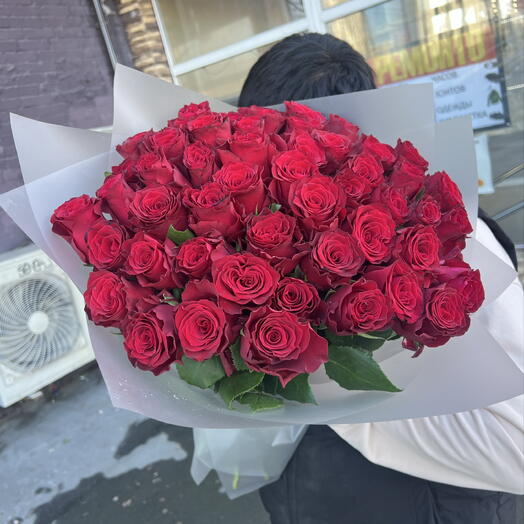 51 бордовая Роза