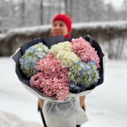 Букет из 5 разноцветных гортензий