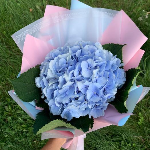 Bouquet "Hydrangea"