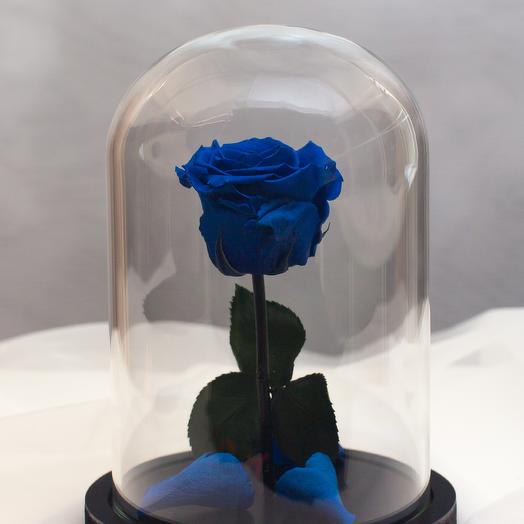 Rose in the flask RozaRose Mini Blue