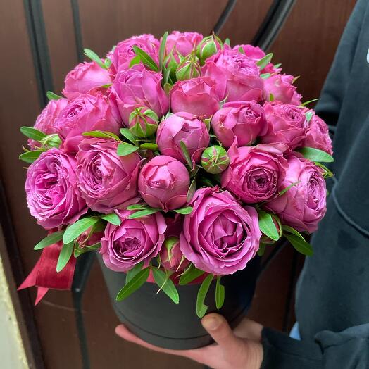 Мисти Бабблс в шляпной коробке