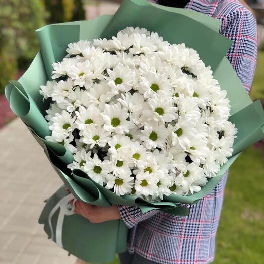 Моно - Букет из 11 Белой хризантемы