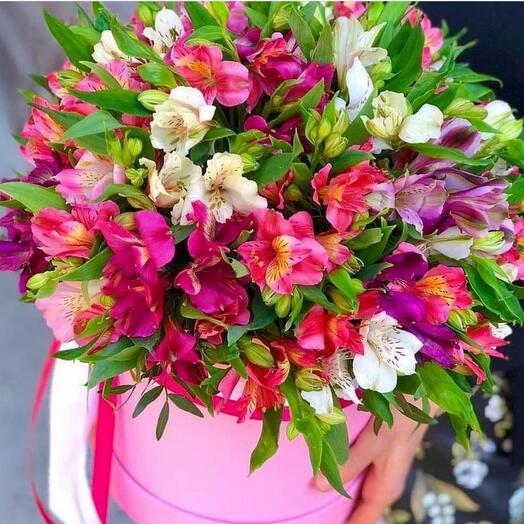 Flores en la Caja "Resplandor de la estrella"