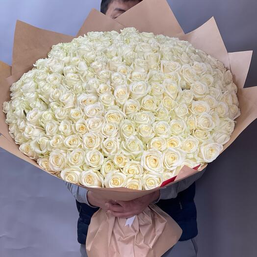 White roses