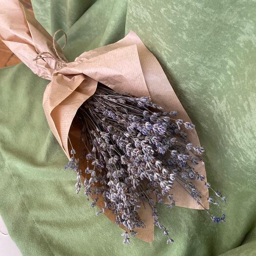 Fragrant lavender