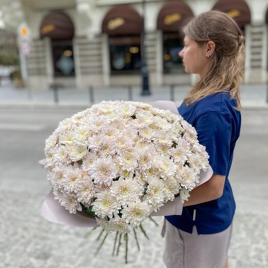 Cream chrysanthemum