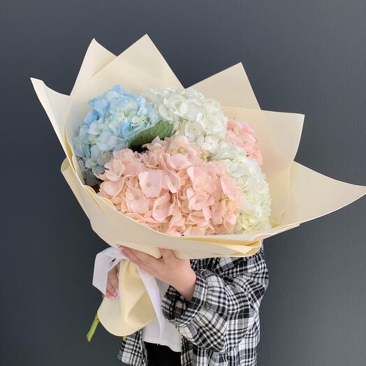 Ramo de hortensias