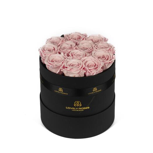 Light Pink Preserved Roses in a Small Round Box